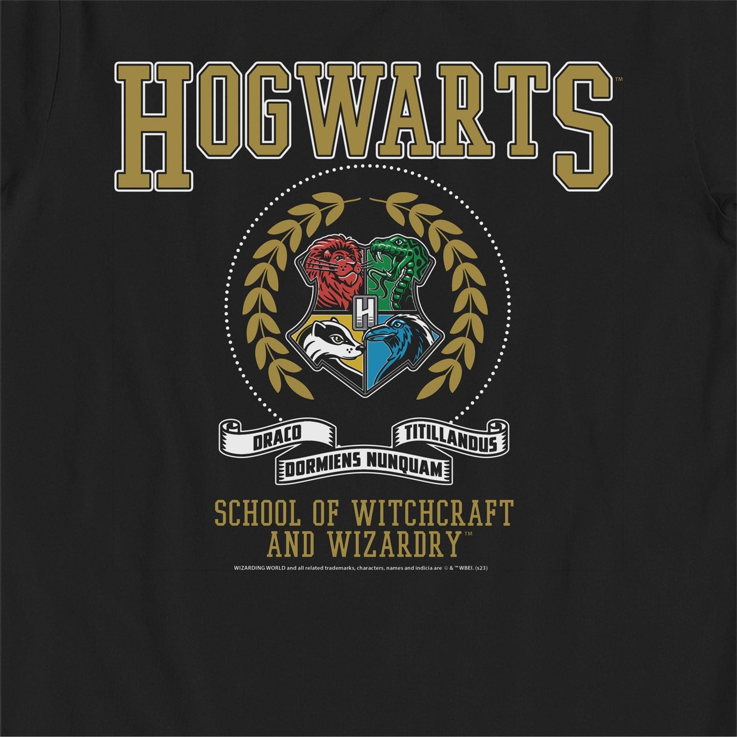 Harry Potter Hogwarts School of Witchcraft & Wizardy Black Kids T-Shirt