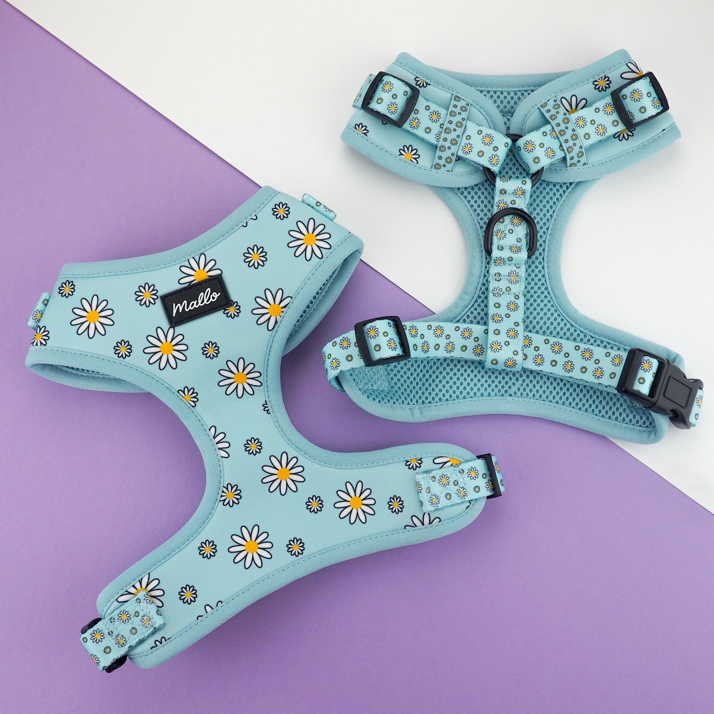 Daisy Dog Collar