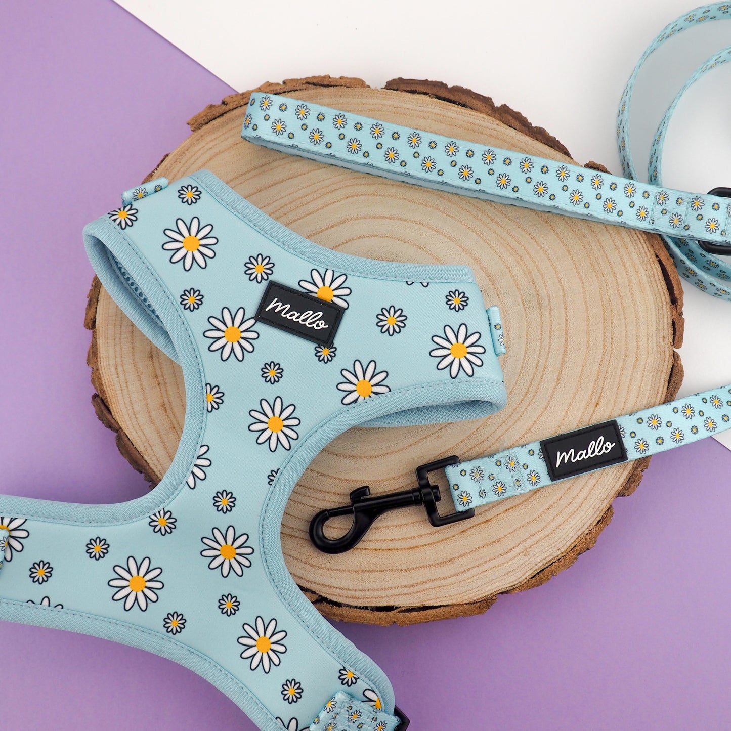 Blue Daisy Dog Harness