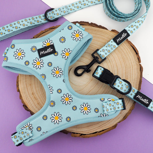 Daisy Dog Harness, Collar and Lead Set