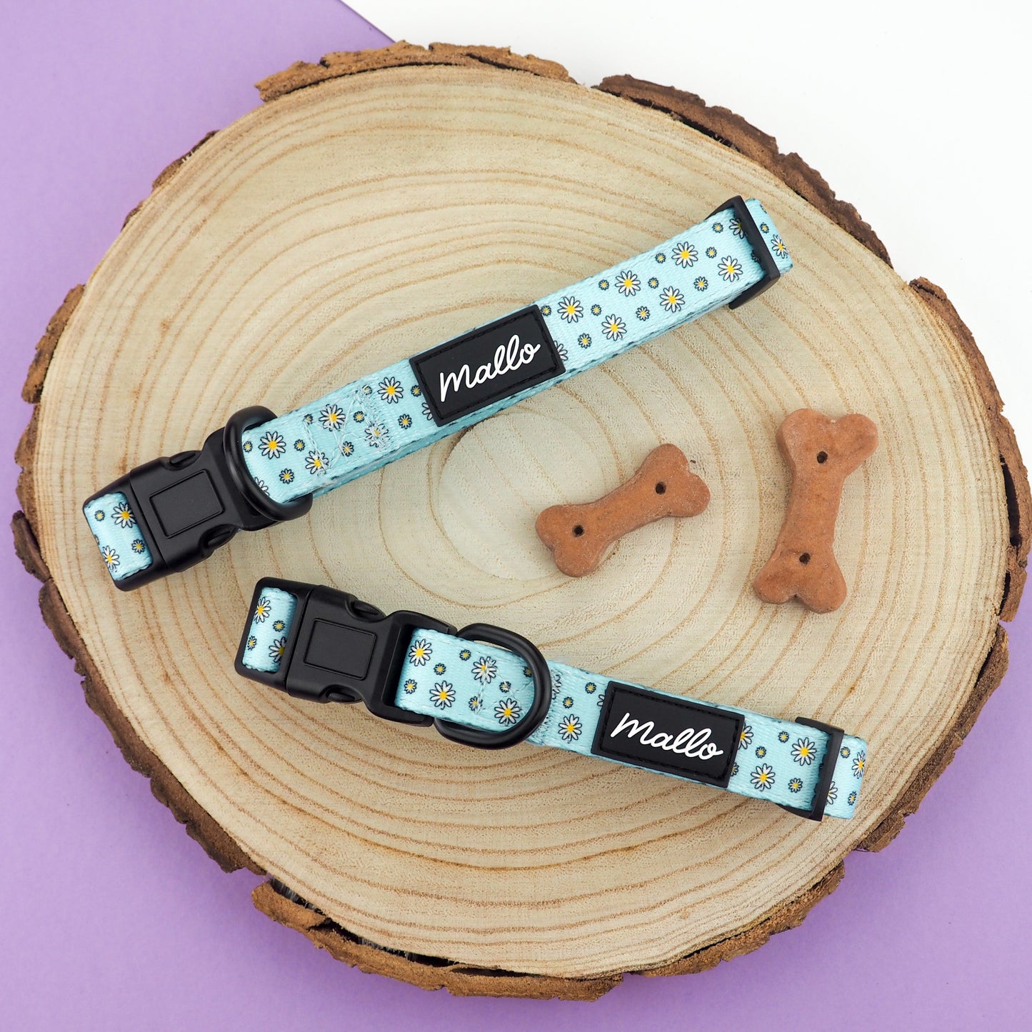 Blue Daisy Dog Harness