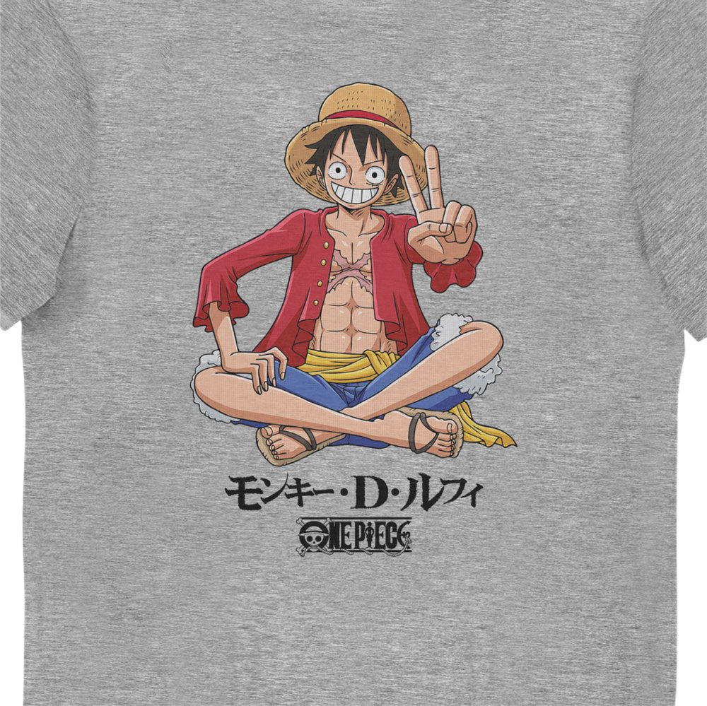 One Piece Luffy Grey Adults T-Shirt