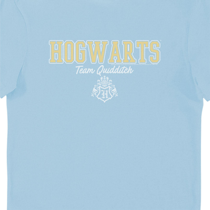 Harry Potter Hogwarts Team Quidditch Blue Adults T-Shirt