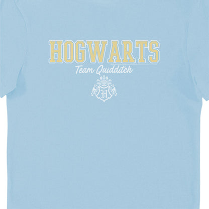 Harry Potter Hogwarts Team Quidditch Blue Adults T-Shirt