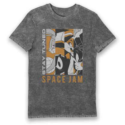 Space Jam A New Legacy Looney Tunes Stay Tuned Vintage Adults T-Shirt