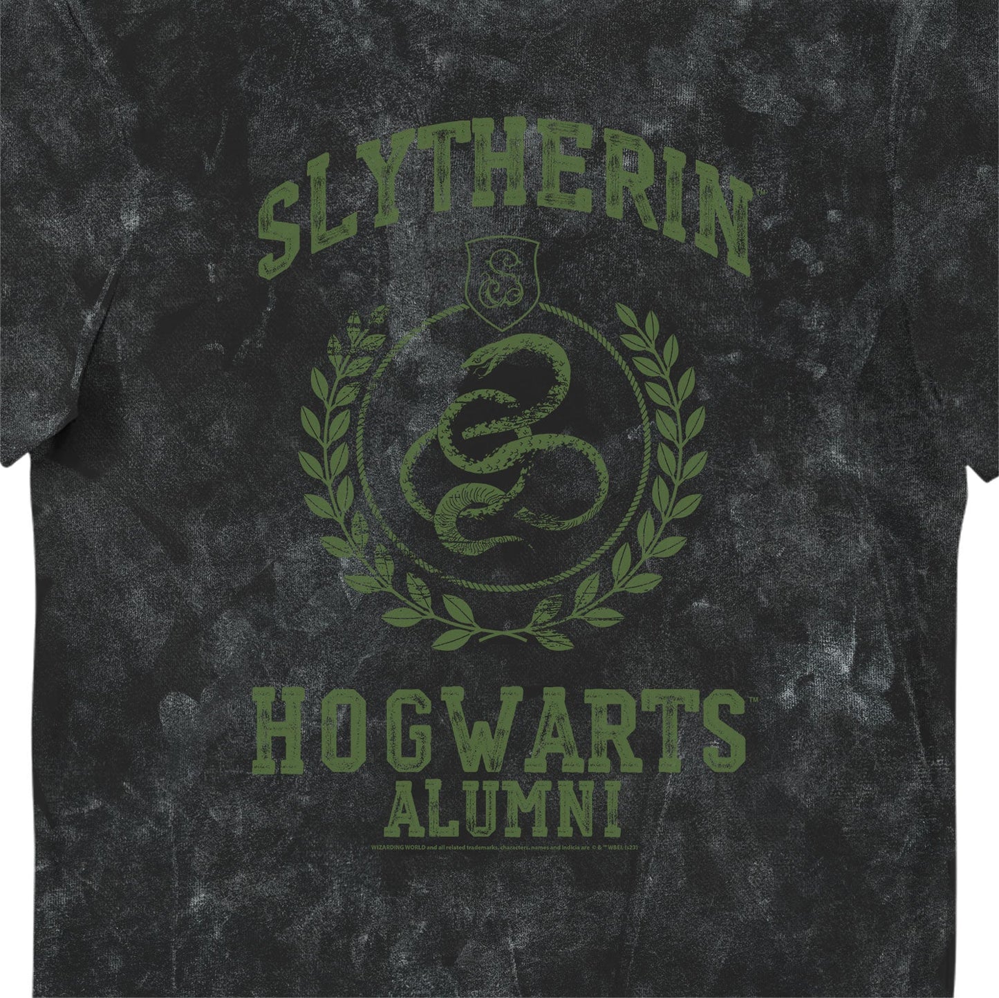 Harry Potter Slytherin Hogwarts Alumni Vintage Style Adults T-Shirt