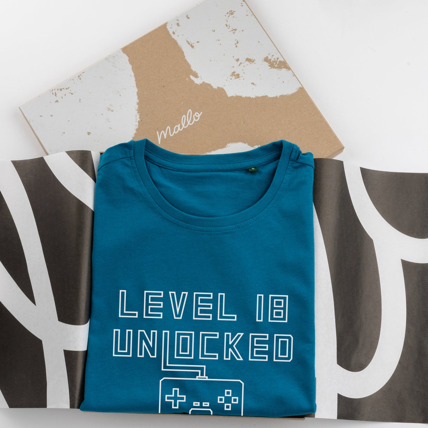 18th Birthday T Shirt For Gamers